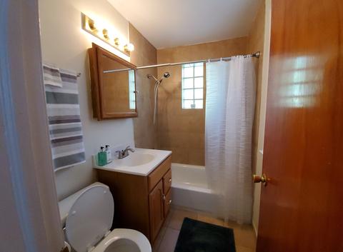 732 Morris Ave, Hillside, IL 60162 photo 10