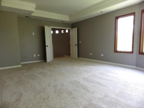 3316 E Forestview Trl, Crete, IL 60417 photo 20