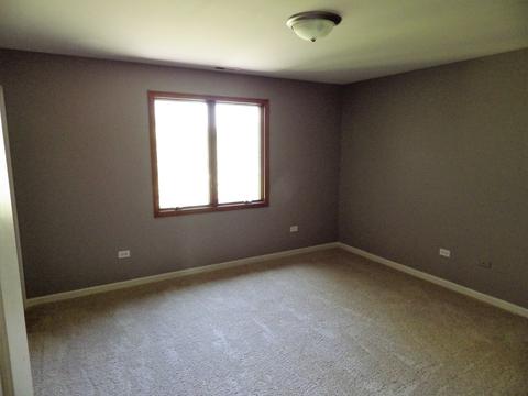 3316 E Forestview Trl, Crete, IL 60417 photo 31