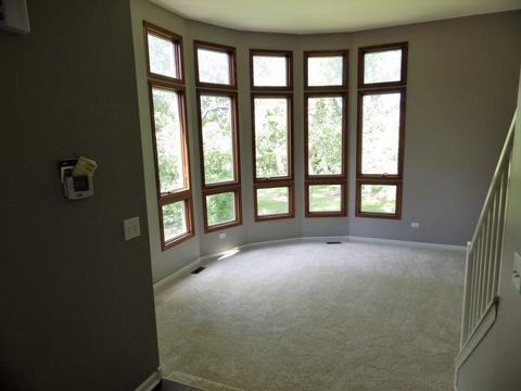 3316 E Forestview Trl, Crete, IL 60417 photo 17