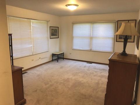 24032 Simo Dr, Plainfield, IL 60586 photo 16