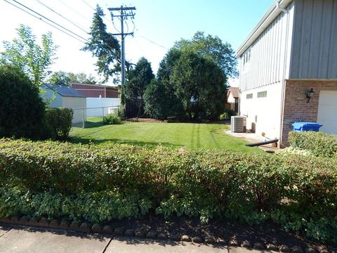 1011 W Grant Dr, Des Plaines, IL 60016 photo 20