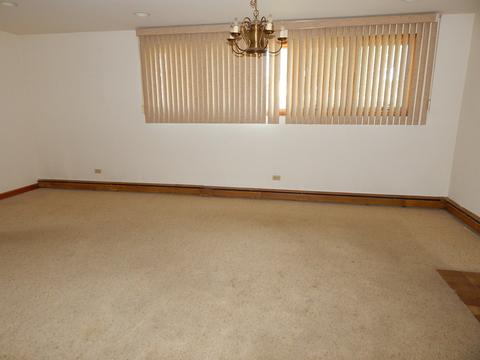1011 W Grant Dr, Des Plaines, IL 60016 photo 6