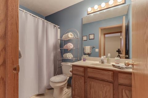 109 S Pintail Ln, Downs, IL 61736 photo 26