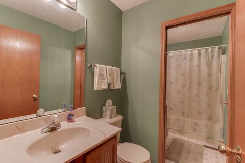 109 S Pintail Ln, Downs, IL 61736 photo 19