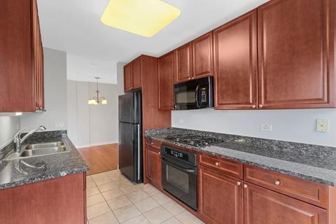 255 E Liberty Dr #509-2, Wheaton, IL 60187 photo 3