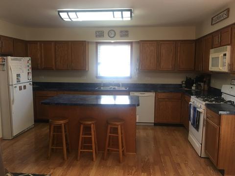 26219 S Locust Pl, Monee, IL 60449 photo 5