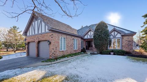 41 Durham Ct, Burr Ridge, IL 60527 photo 1
