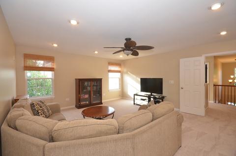 26425 Rustling Birch Way, Plainfield, IL 60585 photo 15