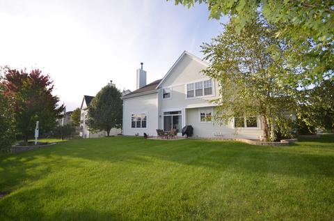 26425 Rustling Birch Way, Plainfield, IL 60585 photo 30