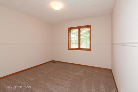 236 N Hickory Ave, Bartlett, IL 60103 photo 21