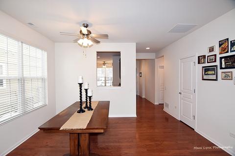 845 Cascade Falls Dr, Elgin, IL 60124 photo 8