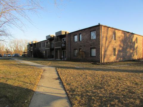1205 Pleasant Run Dr #210, Wheeling, IL 60090 photo 1