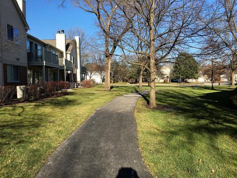 1602 Stratford Ct #D-1, Wheeling, IL 60090 photo 23