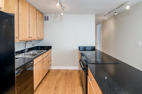 100 E Walton St #12D, Chicago, IL 60611 photo 3