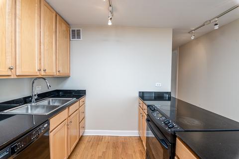 100 E Walton St #12D, Chicago, IL 60611 photo 2