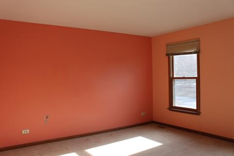 211 Greens View Dr, Algonquin, IL 60102 photo 13