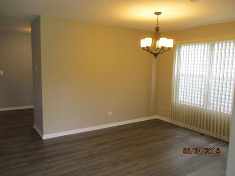 4129 Rivertowne Dr, Plainfield, IL 60586 photo 4