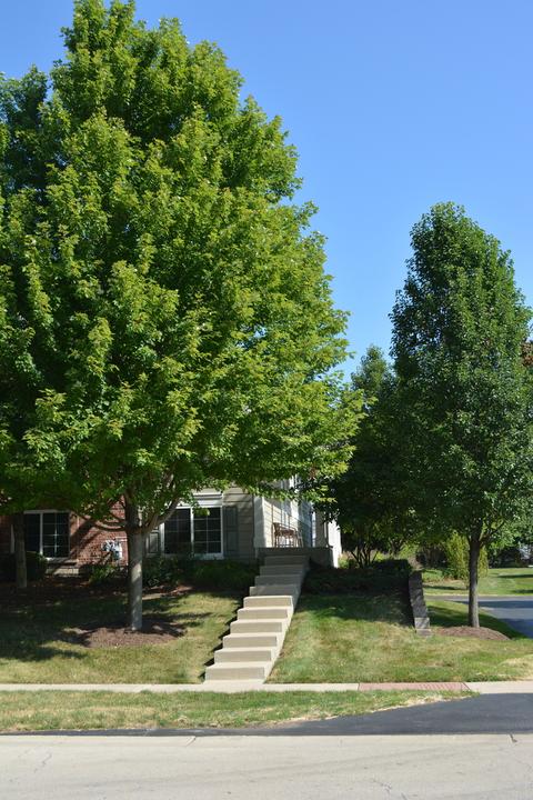 1022 Reserve Dr, Elgin, IL 60124 photo 24