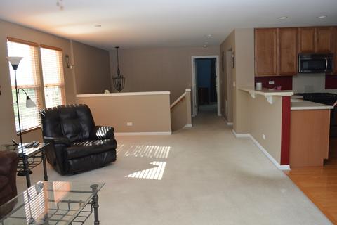 1022 Reserve Dr, Elgin, IL 60124 photo 6