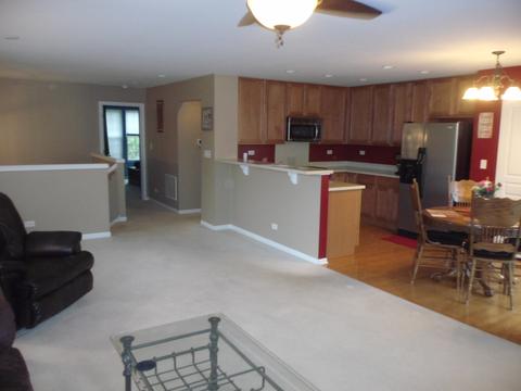 1022 Reserve Dr, Elgin, IL 60124 photo 5
