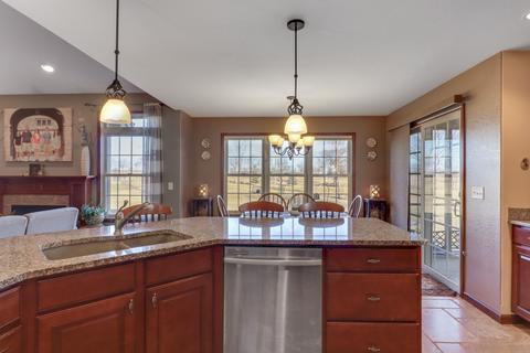 306 Marsh Hawk Dr, Le Roy, IL 61752 photo 11