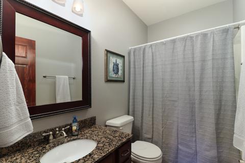 306 Marsh Hawk Dr, Le Roy, IL 61752 photo 39