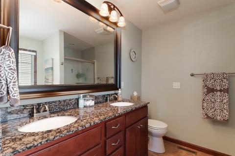 306 Marsh Hawk Dr, Le Roy, IL 61752 photo 30