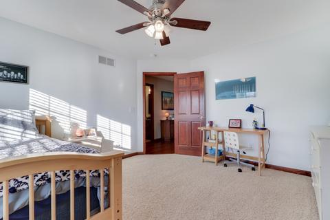 306 Marsh Hawk Dr, Le Roy, IL 61752 photo 19
