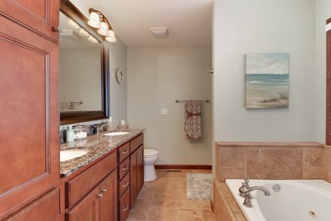 306 Marsh Hawk Dr, Le Roy, IL 61752 photo 29