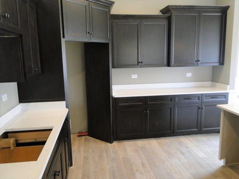 16520 S Mueller Cir, Plainfield, IL 60586 photo 8