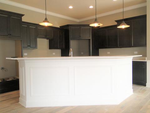 16520 S Mueller Cir, Plainfield, IL 60586 photo 7