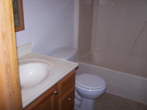 15 Davis Ct, Mansfield, IL 61854 photo 7