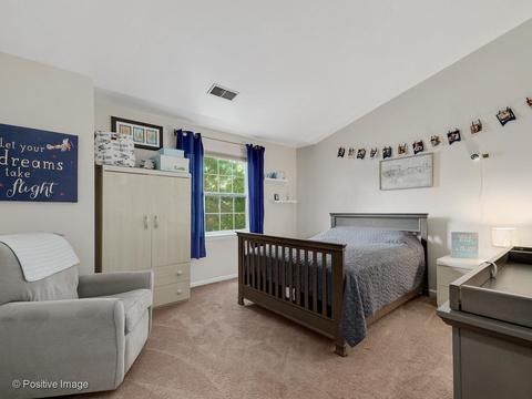 6565 Snug Harbor Dr, Willowbrook, IL 60527 photo 19