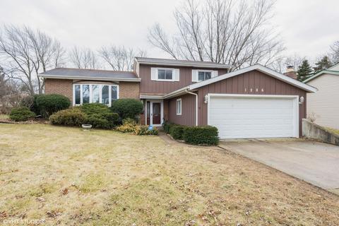 1286 Downing Ct, Wheaton, IL 60189 photo 1