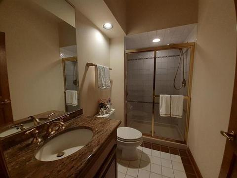 114 Circle Ridge Dr, Burr Ridge, IL 60527 photo 28