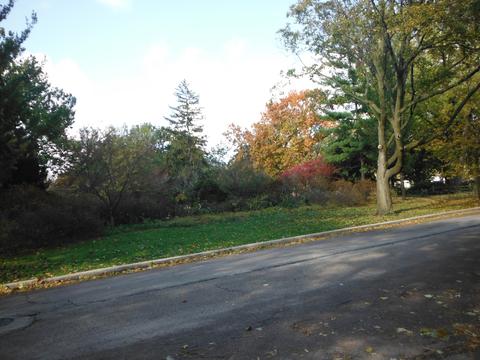 6957 30th Pl, Berwyn, IL 60402 photo 7