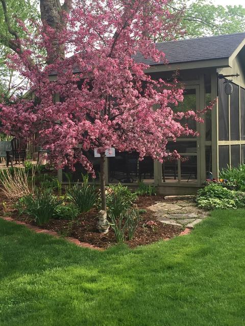 812 E Liberty Dr, Wheaton, IL 60187 photo 27
