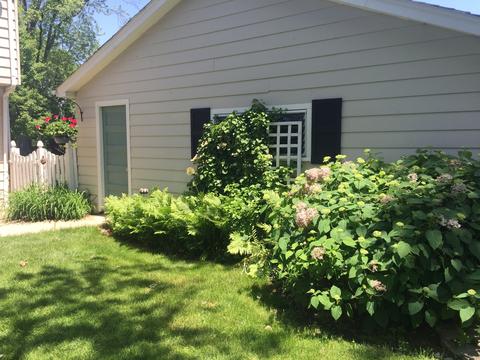 812 E Liberty Dr, Wheaton, IL 60187 photo 28