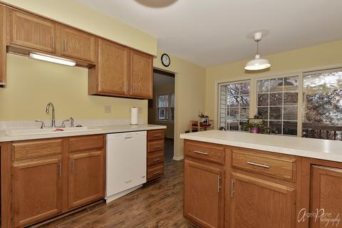 576 Shagbark Dr, Elgin, IL 60123 photo 8