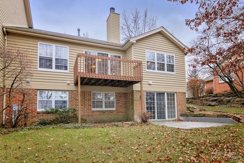 576 Shagbark Dr, Elgin, IL 60123 photo 24