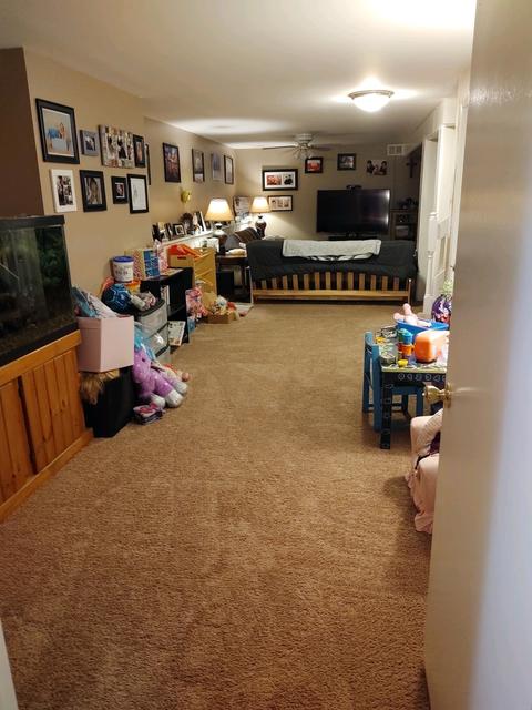 7520 Windsor Ave, Spring Grove, IL 60081 photo 3