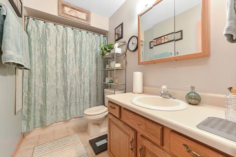 3206 Alethea Dr, Algonquin, IL 60102 photo 17