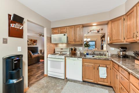 3206 Alethea Dr, Algonquin, IL 60102 photo 4