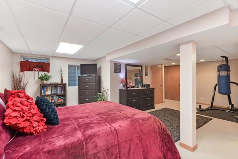 3206 Alethea Dr, Algonquin, IL 60102 photo 13