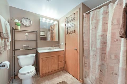 3206 Alethea Dr, Algonquin, IL 60102 photo 15