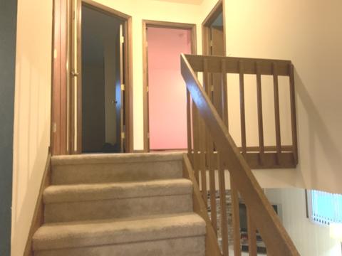 19255 Ada St, Lansing, IL 60438 photo 5