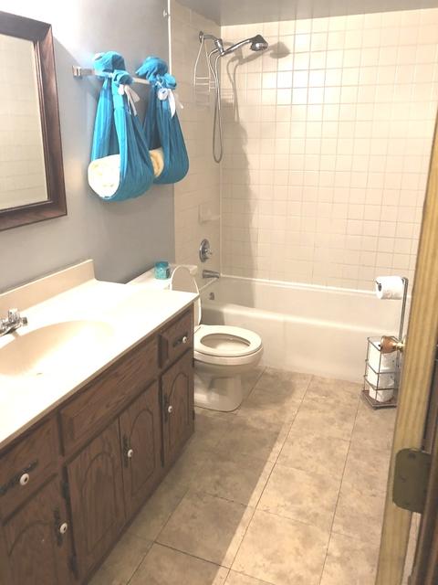 19255 Ada St, Lansing, IL 60438 photo 10