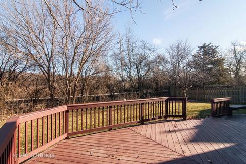 1885 Pinnacle Dr, Aurora, IL 60502 photo 47