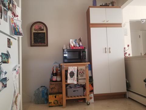 1105 Arnold Ct, Des Plaines, IL 60016 photo 7